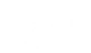 Vivela La Maraton